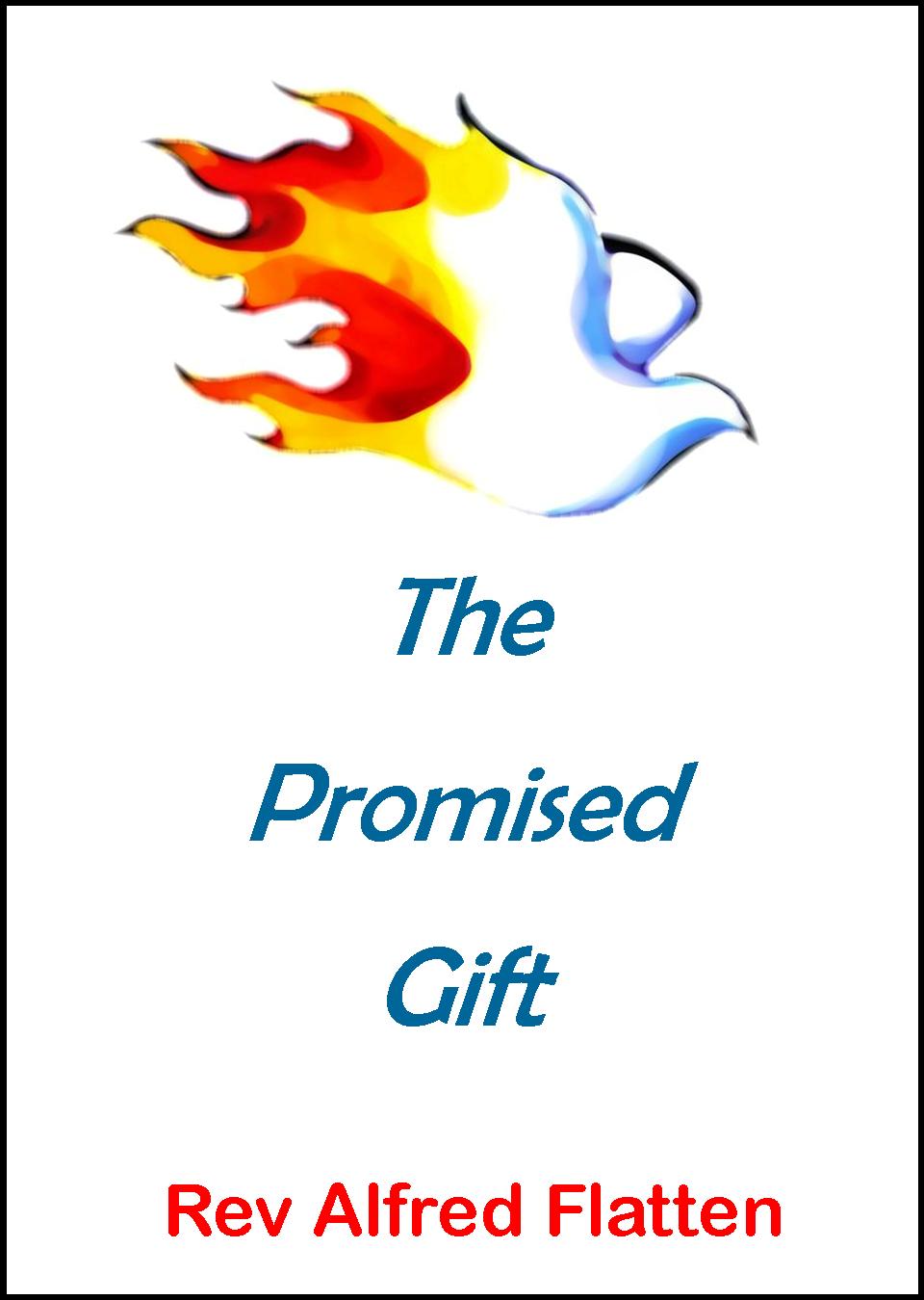 cover2-promised-gift